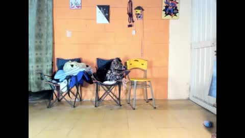 Jharol  online show from March 14, 7:14 am