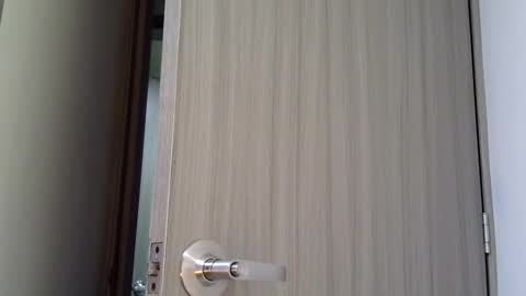   online show from March 3, 11:05 am