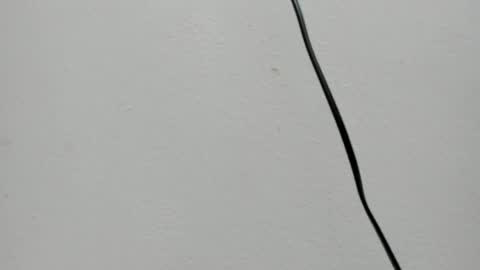 Jimena online show from April 27, 1:09 pm