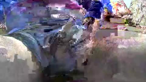 jimii281 online show from January 12, 9:53 pm