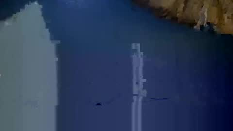 Snapshot of jimmyswagg4200 chatting on February 1, 6:51 pm Jimmyswagg420 online show from February 1, 6:51 pm