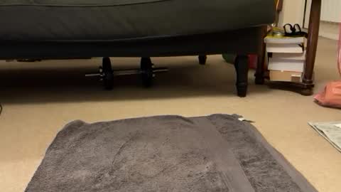 Snapshot of jinker2002 chatting on December 16, 5:22 pm jinker2002 online show from December 16, 5:22 pm