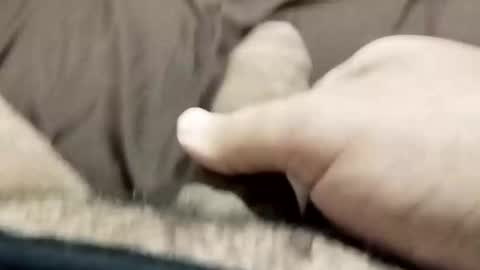 Snapshot of jj3377 chatting on October 26, 6:08 am jj3377 online show from October 26, 6:08 am