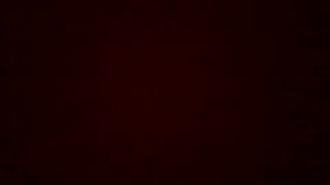 Jorge online show from April 28, 6:24 pm