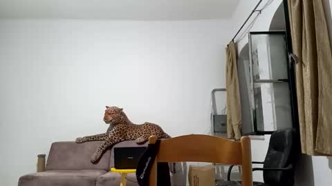 Snapshot of jlmbud chatting on October 20, 12:33 am jlmbud online show from October 20, 12:33 am