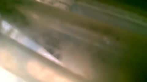 Snapshot of jlz2695 chatting on March 6, 8:27 pm jlz2695 online show from March 6, 8:27 pm