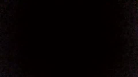 joaco_y_fabi online show from March 4, 4:13 pm