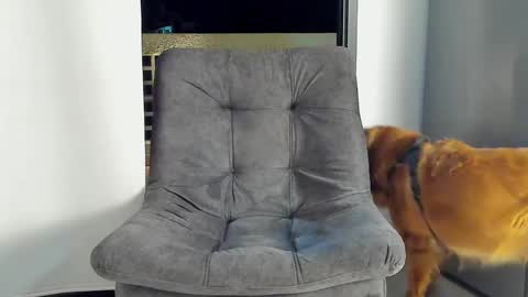 Snapshot of joan_saenz chatting on January 9, 3:47 am JOAN SAENZ online show from January 9, 3:47 am