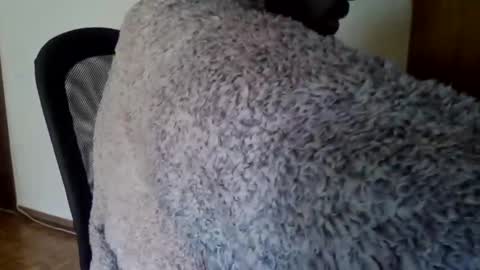 Snapshot of joaodias_18 chatting on December 13, 2:16 pm joaodias_18 online show from December 13, 2:16 pm