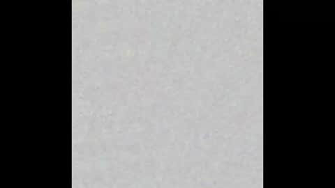 joey1smart online show from March 19, 2:37 am