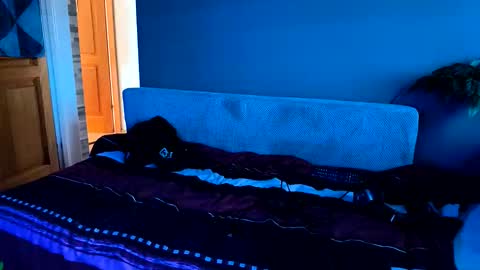 - Quantum - online show from November 20, 7:41 am