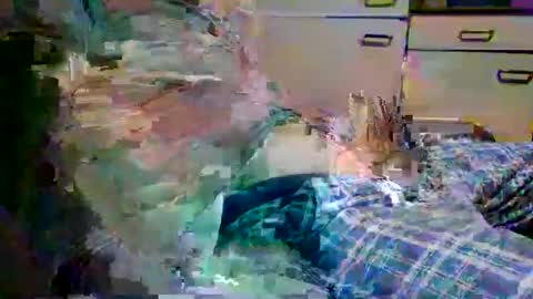 johnyboy34 online show from January 17, 6:40 am