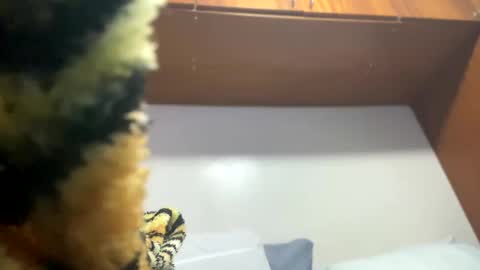 Snapshot of johnjow10 chatting on February 8, 11:55 pm JOHN online show from February 8, 11:55 pm