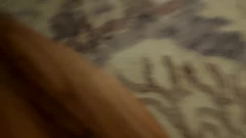 johnny235813 online show from September 18, 3:52 am