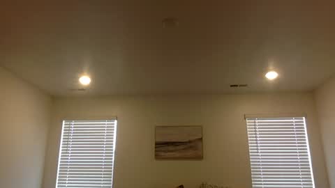 Snapshot of johntitoo chatting on July 6, 3:03 pm John Tito online show from July 6, 3:03 pm