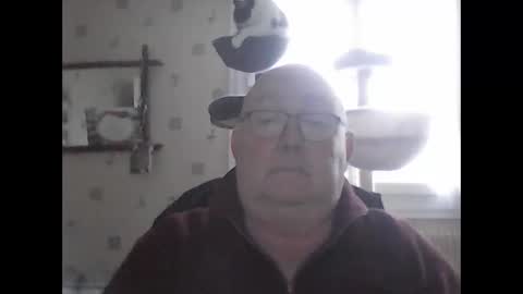 jojo60000529566 online show from December 7, 2:13 pm