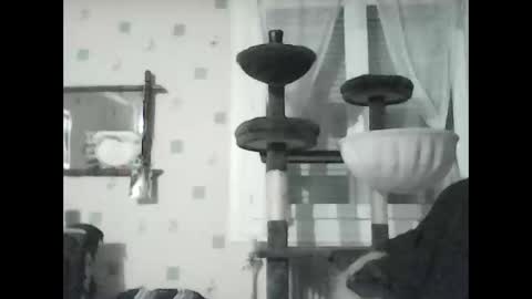 jojo60000529566 online show from January 8, 7:13 pm