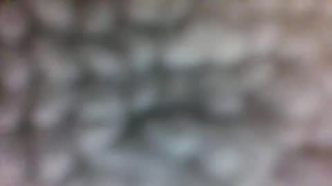 Jlucky online show from November 11, 4:34 am