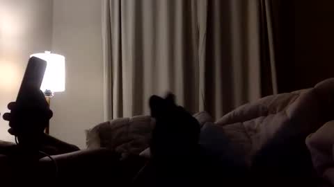 jokerwayne32 online show from April 8, 3:50 am