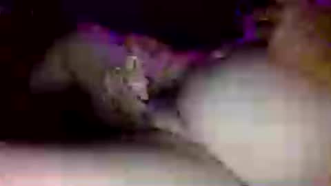 jon3911 online show from June 17, 10:43 pm