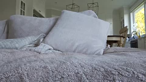 jonesy420xoo online show from October 8, 11:24 pm