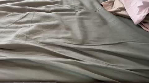 Maximo online show from March 13, 1:51 pm