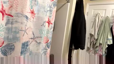 Snapshot of josephung1 chatting on February 3, 3:37 am sissy josphine online show from February 3, 3:37 am