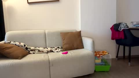 Snapshot of josh_xo chatting on November 30, 12:25 am josh_xo online show from November 30, 12:25 am