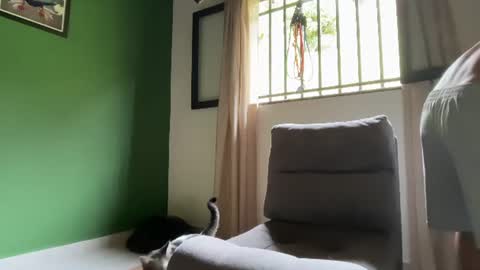 Snapshot of joulianogreco1 chatting on July 19, 3:05 pm Im Jouliano online show from July 19, 3:05 pm