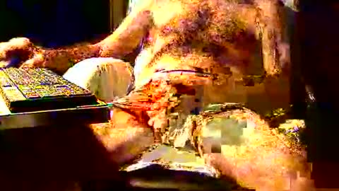 joystik4u60 online show from November 2, 1:35 pm