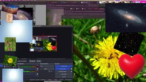 Snapshot of jpsunflower chatting on October 13, 9:09 am JP Sunflower Angel Love online show from October 13, 9:09 am