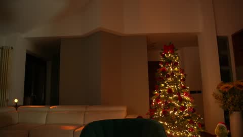 Jennifer Diaz online show from December 13, 8:37 pm