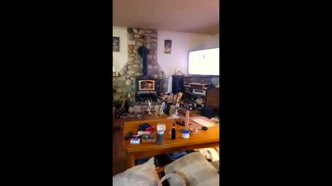 jsteger1465 online show from February 24, 10:35 am