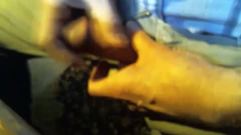 jt335577 online show from January 27, 7:46 pm