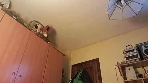 Snapshot of juanka85564456 chatting on January 29, 12:43 am juanka85564456 online show from January 29, 12:43 am