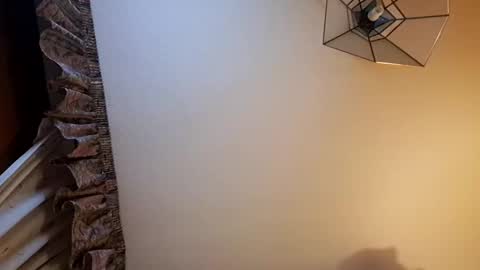 Snapshot of juanka85564456 chatting on February 9, 12:49 am juanka85564456 online show from February 9, 12:49 am