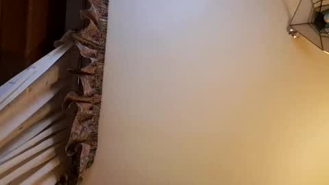 Snapshot of juanka85564456 chatting on February 28, 11:56 pm juanka85564456 online show from February 28, 11:56 pm