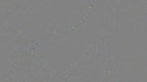 Jrgen Schnfeld online show from November 24, 10:48 am