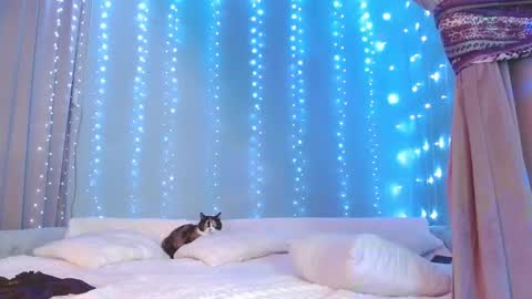 Julia online show from November 29, 7:22 am