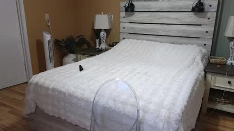 Texas Mamasita online show from March 5, 3:30 pm