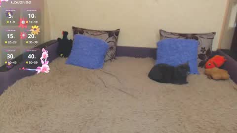 Jul online show from February 5, 7:35 am