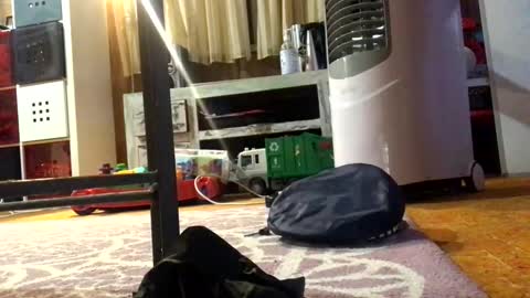 Snapshot of julieface87 chatting on March 26, 10:10 am julieface87 online show from March 26, 10:10 am