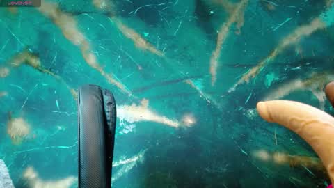    online show from September 27, 4:50 am