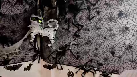 Julietta Jackson online show from October 9, 6:50 pm