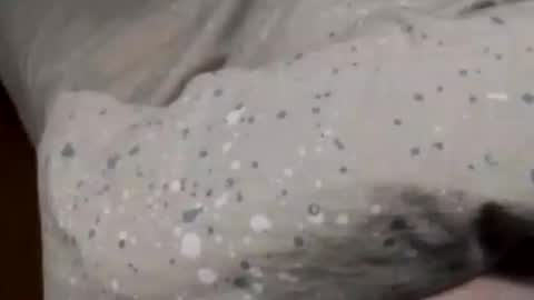 Snapshot of jumezee chatting on January 6, 2:36 pm Asian office boy online show from January 6, 2:36 pm