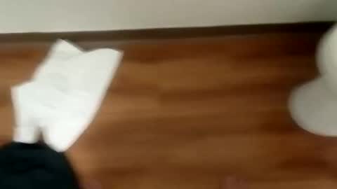 Snapshot of junior69king chatting on January 19, 12:06 pm manolito online show from January 19, 12:06 pm