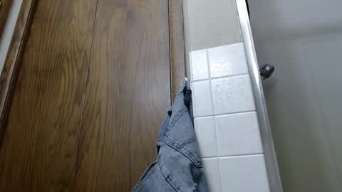 Snapshot of junk_yard_dog chatting on January 10, 12:58 pm Dave online show from January 10, 12:58 pm