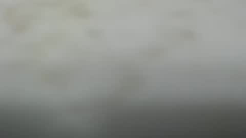 Snapshot of junk_yard_dog chatting on October 20, 1:55 pm Dave online show from October 20, 1:55 pm