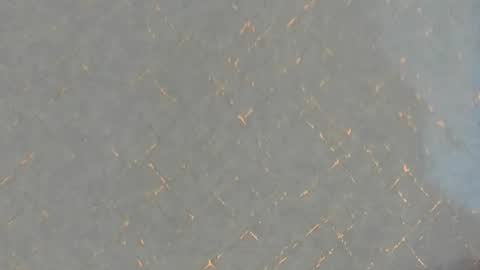 Snapshot of junosomnum chatting on March 1, 1:53 am junosomnum online show from March 1, 1:53 am