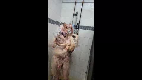 Just a Toy Soldier online show from April 7, 5:13 pm